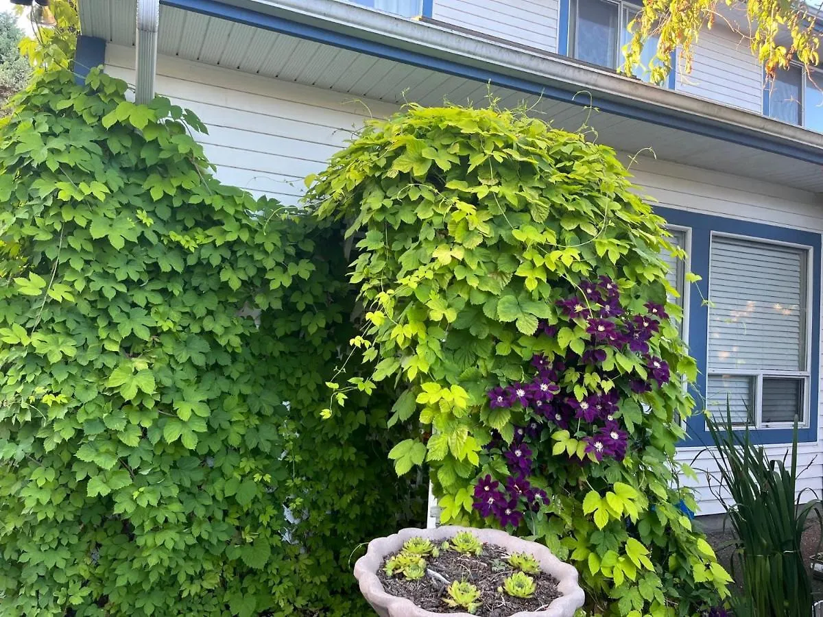 Tranquility By Yvr Airport 空港静舍 Bed & Breakfast Richmond Canada